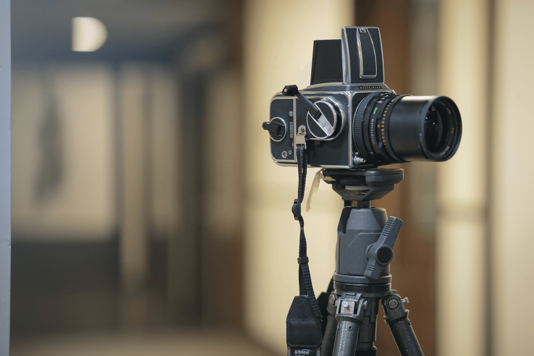 AI 全盛の時代、フィルム写真は「閉じない世界」に戻ってきた