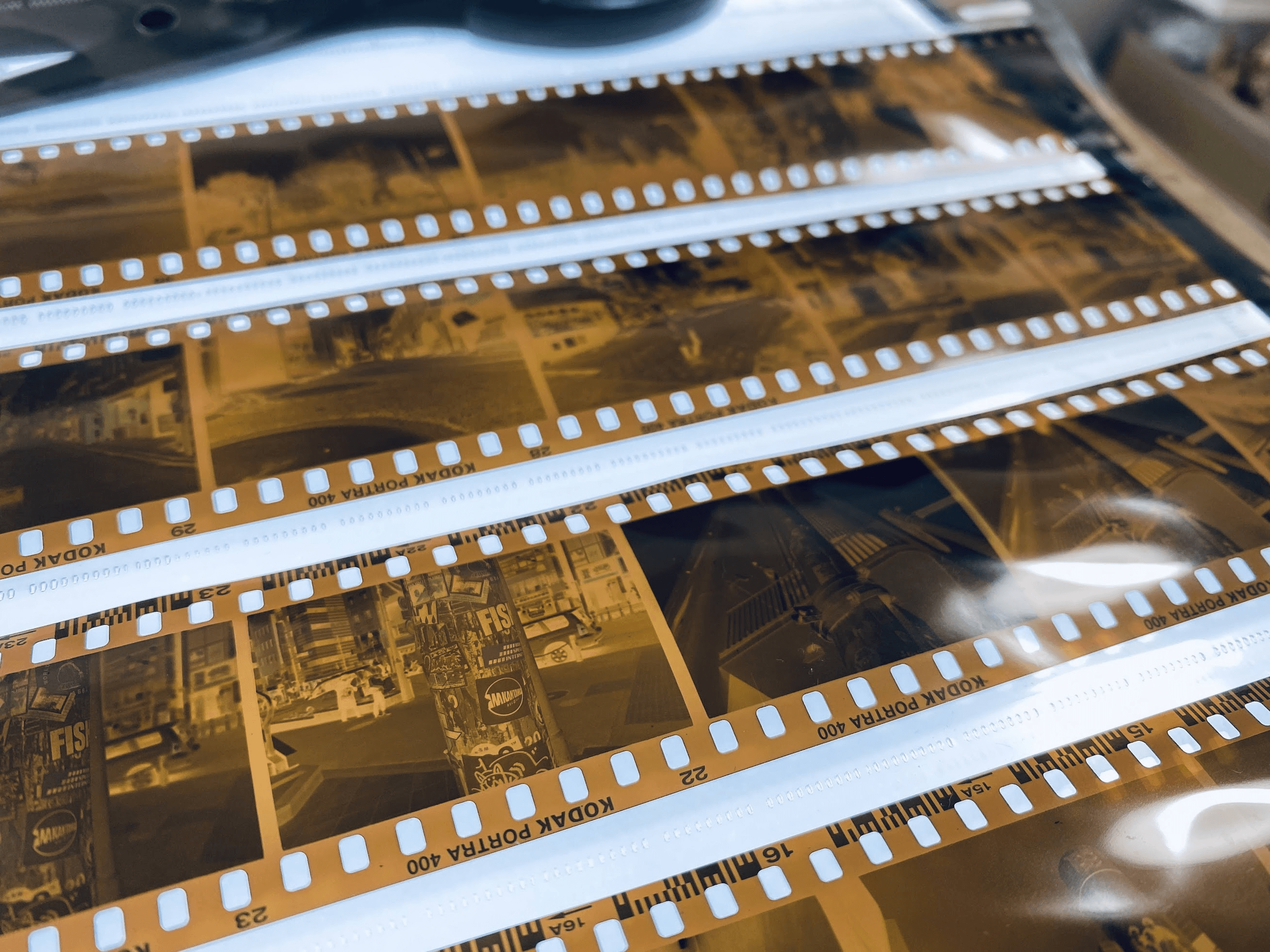 フィルムブーム再燃の中で、変わるネガフィルムの行方